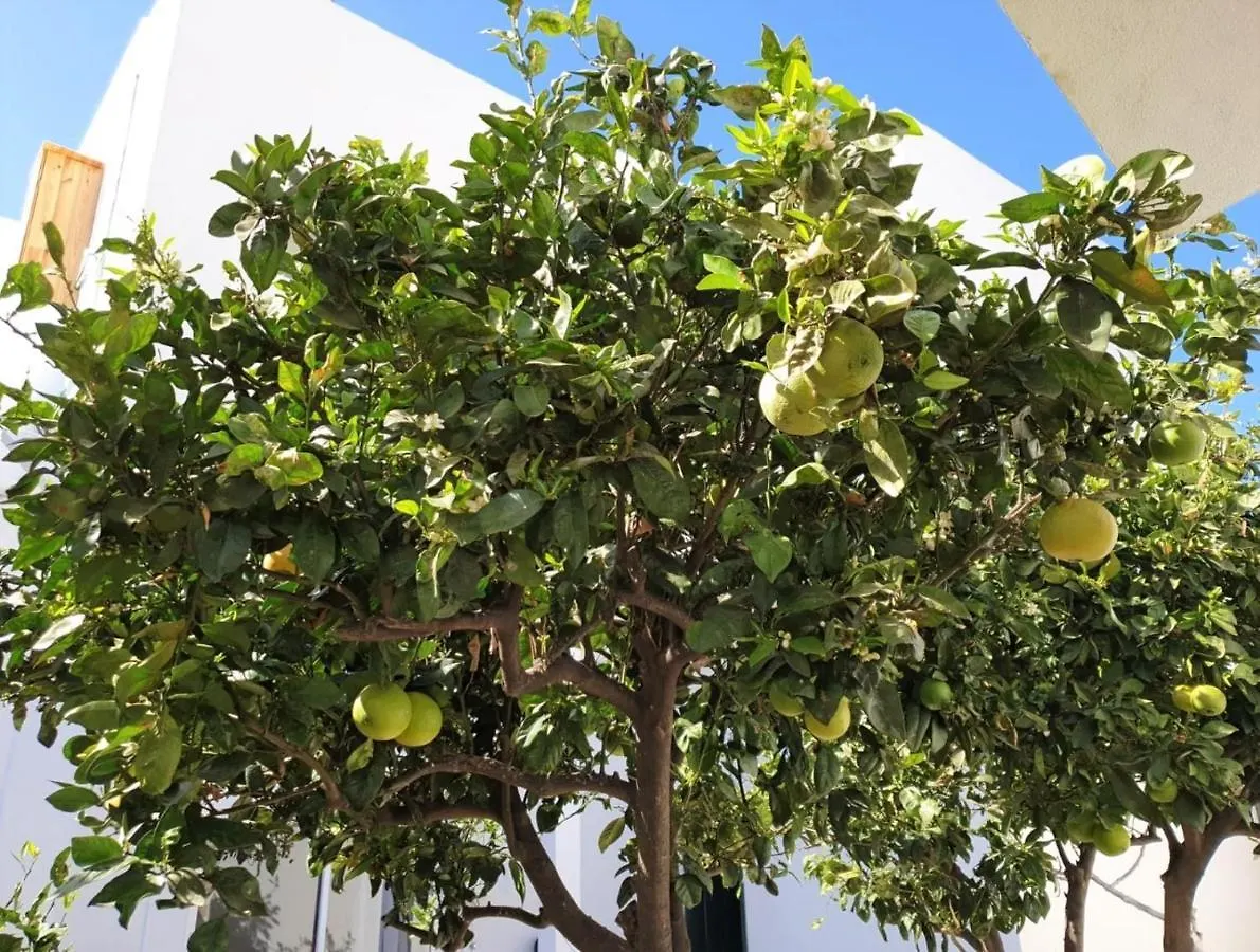 Apartament In Arico Arico el Nuevo